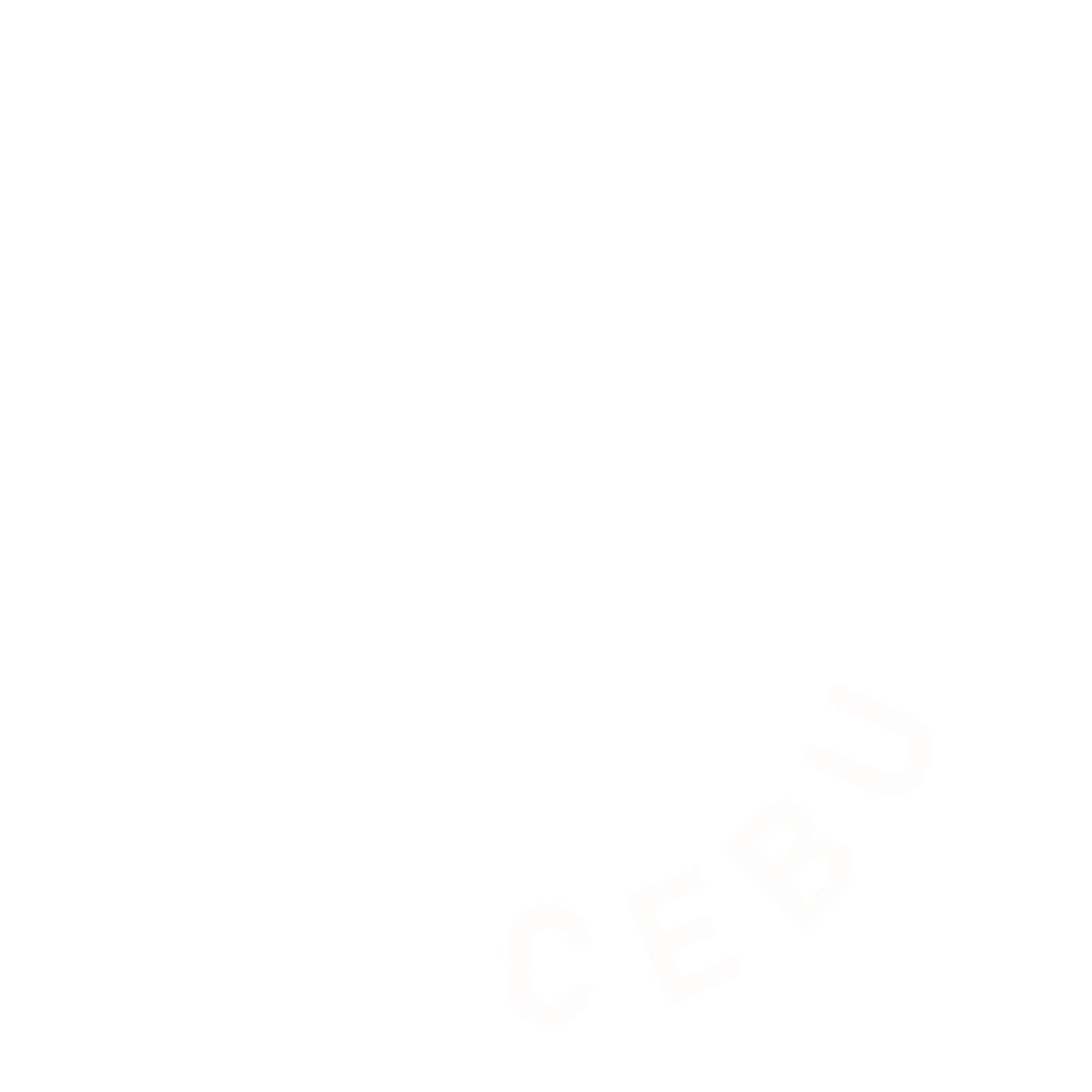 DIVE CEBU